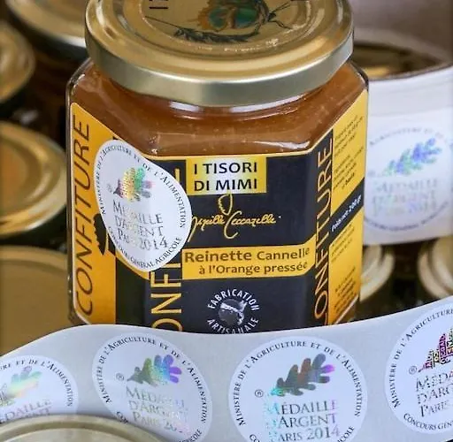 公寓 Petit Coin De Paradis, Vue Panoramique &montagne, Piscine Privee... 卡尔卡托吉奥