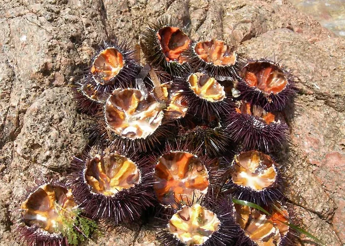 Petit Coin De Paradis, Vue Panoramique &montagne, Piscine Privee... *