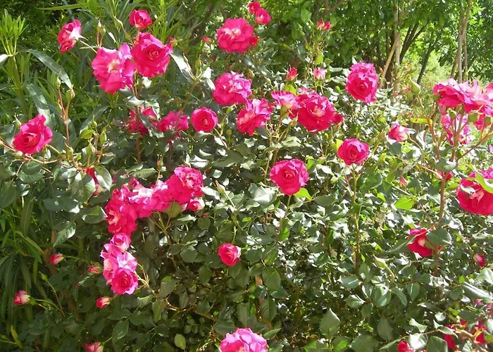 公寓 Petit Coin De Paradis, Vue Panoramique &montagne, Piscine Privee...