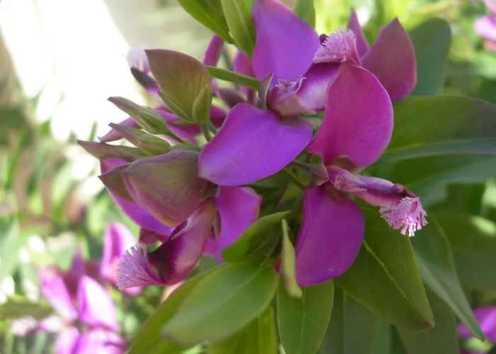 Petit Coin De Paradis, Vue Panoramique &montagne, Piscine Privee... *