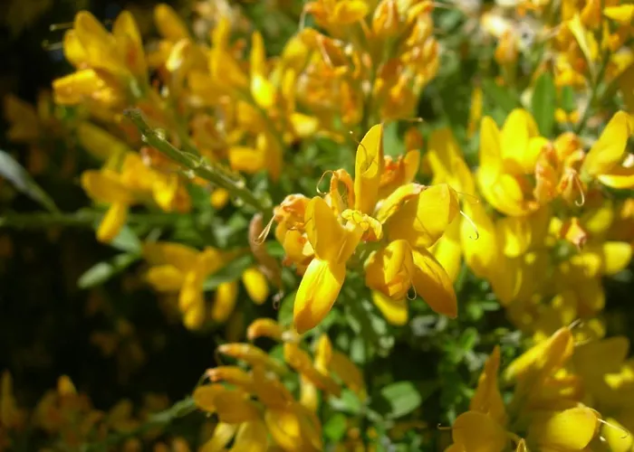 Petit Coin De Paradis, Vue Panoramique &montagne, Piscine Privee... 公寓 *