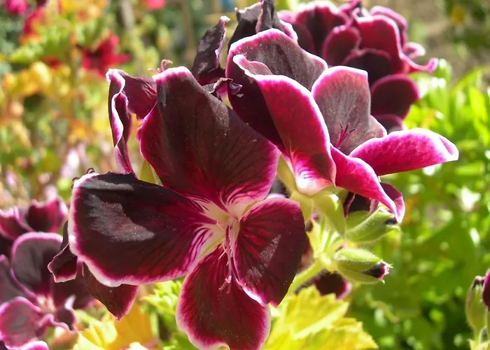 公寓 Petit Coin De Paradis, Vue Panoramique &montagne, Piscine Privee... 卡尔卡托吉奥