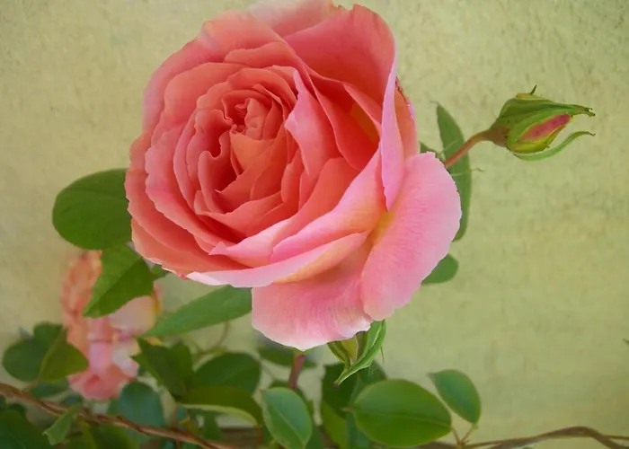 Petit Coin De Paradis, Vue Panoramique &montagne, Piscine Privee... * 卡尔卡托吉奥