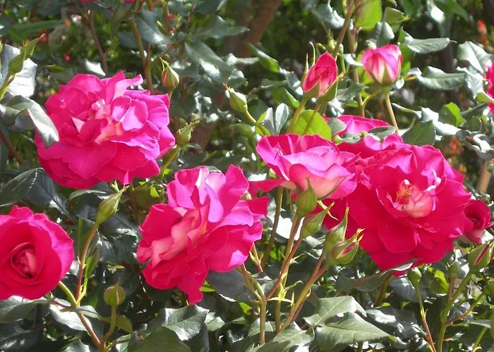 Petit Coin De Paradis, Vue Panoramique &montagne, Piscine Privee...