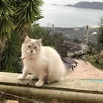 Petit Coin De Paradis, Vue Panoramique &montagne, Piscine Privee... *