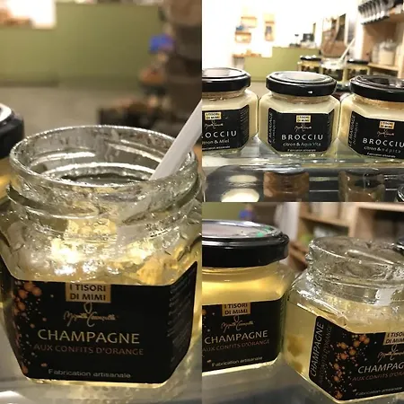 Petit Coin De Paradis, Vue Panoramique &montagne, Piscine Privee... Calcatoggio (Corsica)