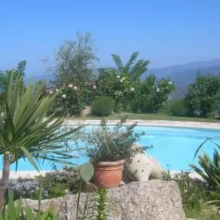 Lejlighed Petit Coin De Paradis, Vue Panoramique &montagne, Piscine Privee... Calcatoggio (Corsica)
