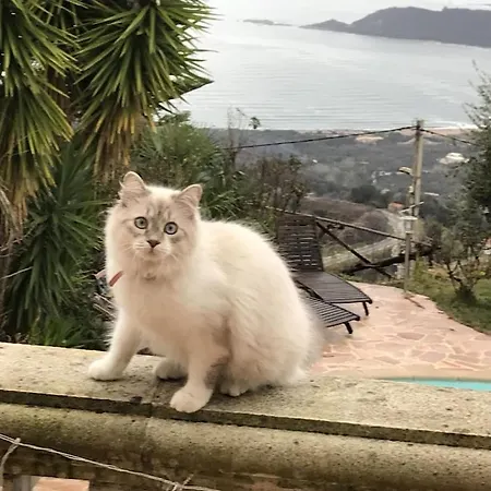 Petit Coin De Paradis, Vue Panoramique &montagne, Piscine Privee... *