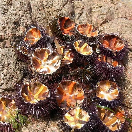 Petit Coin De Paradis, Vue Panoramique &montagne, Piscine Privee... *