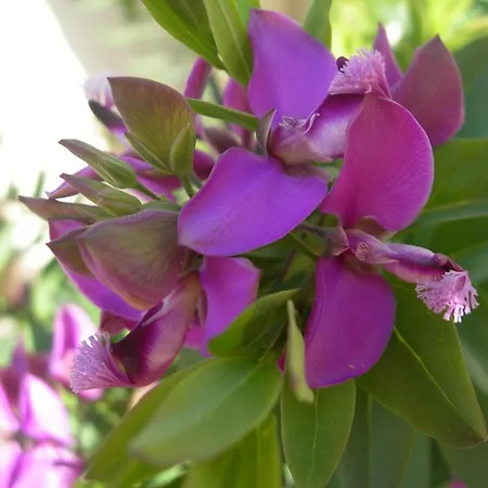 Petit Coin De Paradis, Vue Panoramique &montagne, Piscine Privee... *