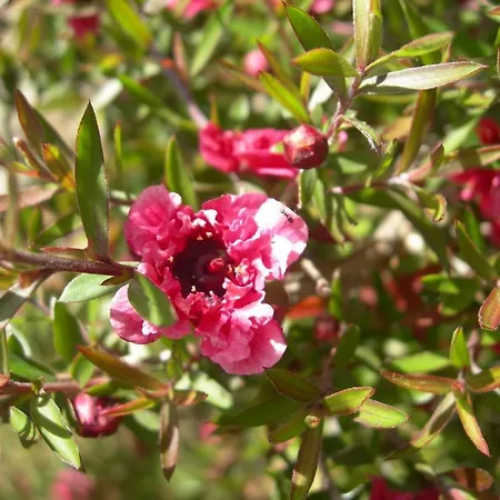 Petit Coin De Paradis, Vue Panoramique &montagne, Piscine Privee...