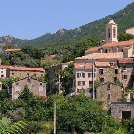 Apartment Petit Coin De Paradis, Vue Panoramique &montagne, Piscine Privee... Calcatoggio (Corsica)