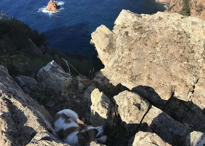 아파트 Petit Coin De Paradis, Vue Panoramique &montagne, Piscine Privee...