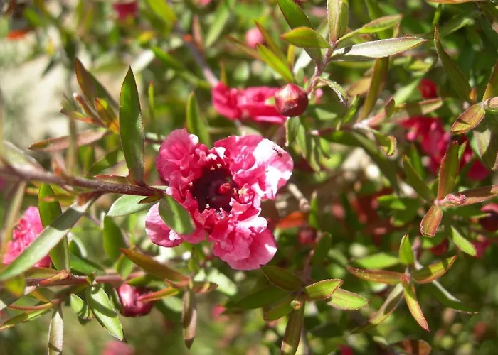 Petit Coin De Paradis, Vue Panoramique &montagne, Piscine Privee...